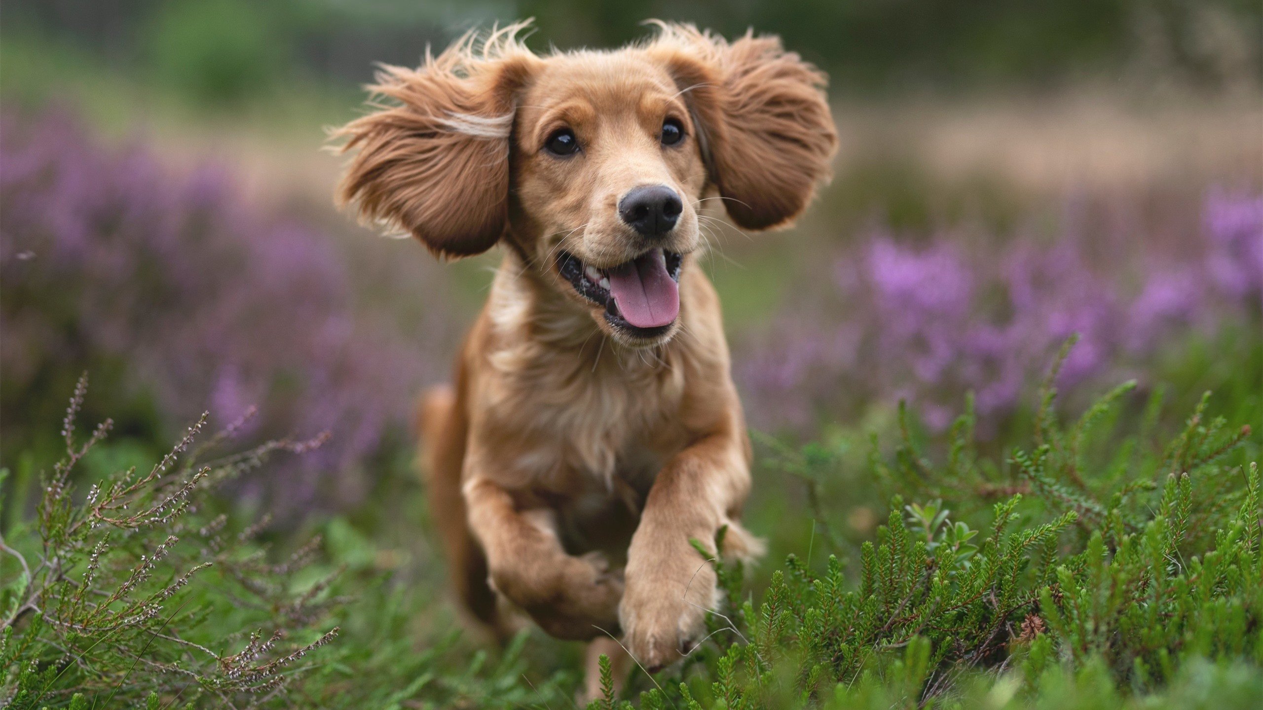 开云体育平台APP-欧冠半决赛焦点战，阿尔及利亚竞技补时绝杀莱比锡红牛，历史性晋级决赛