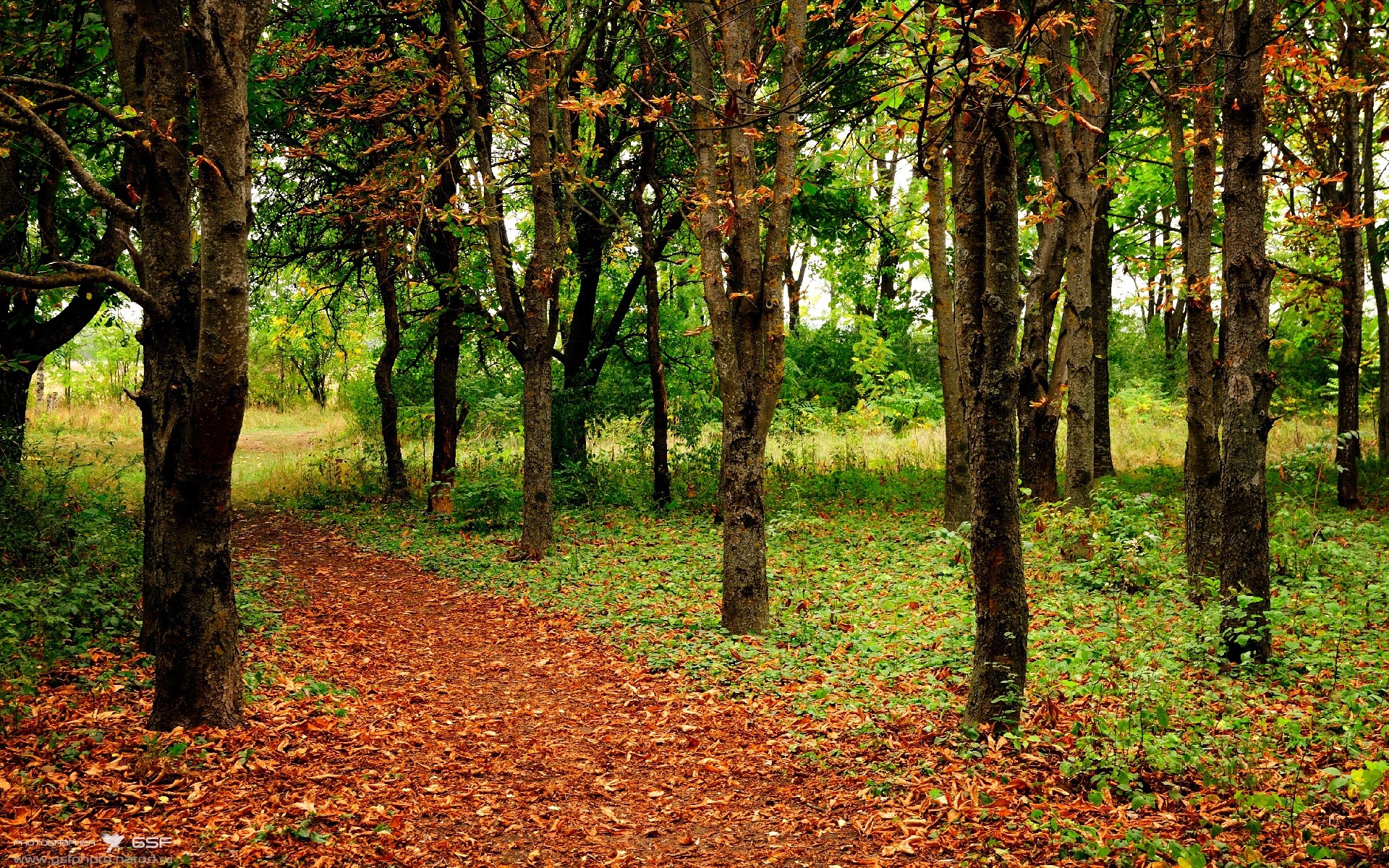 步行者铁壁封锁绿军，库里魔法点燃全场—现代篮球的双面启示