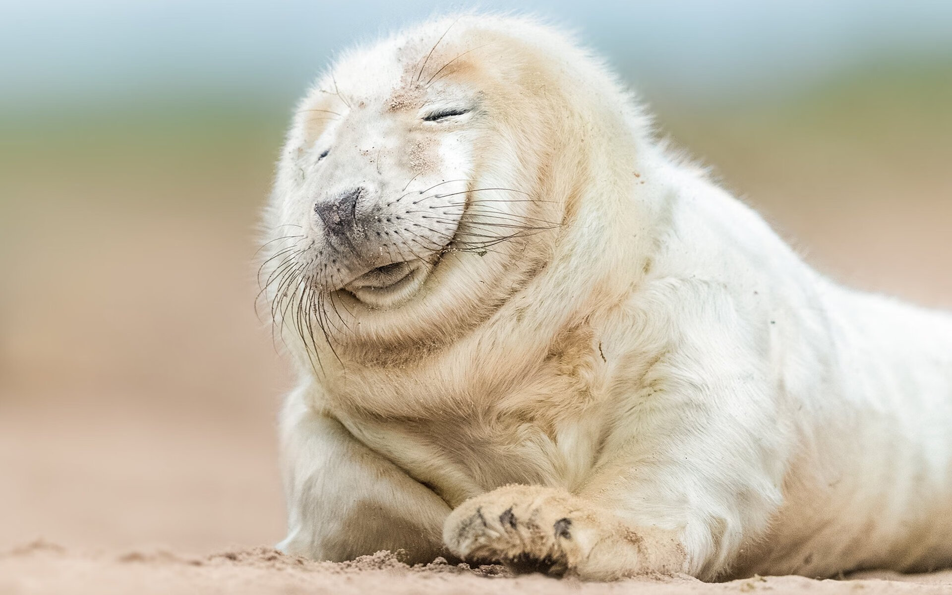 开云体育-从强行终结到接管比赛，布伦森的蜕变之路