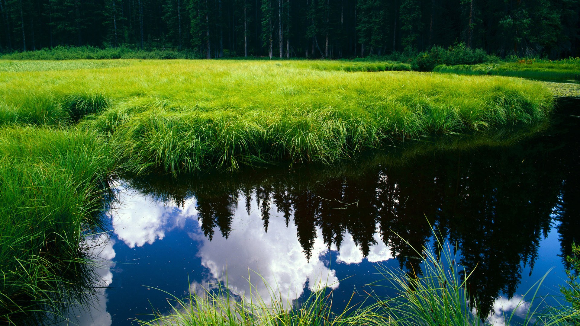 开云体育入口-赛道如战场，F1新赛季揭幕战上演乌克兰战术压制尼斯队