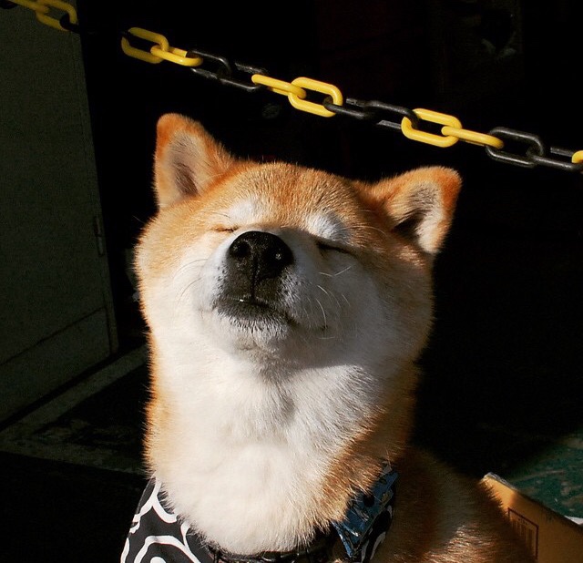 巨人诞生，奥运关键夜，布伦森只手擎天