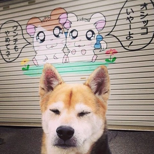 开云体育2026-橙色风暴的耐心艺术，当巴尔韦德爆发，遇见荷兰的计算式晋级