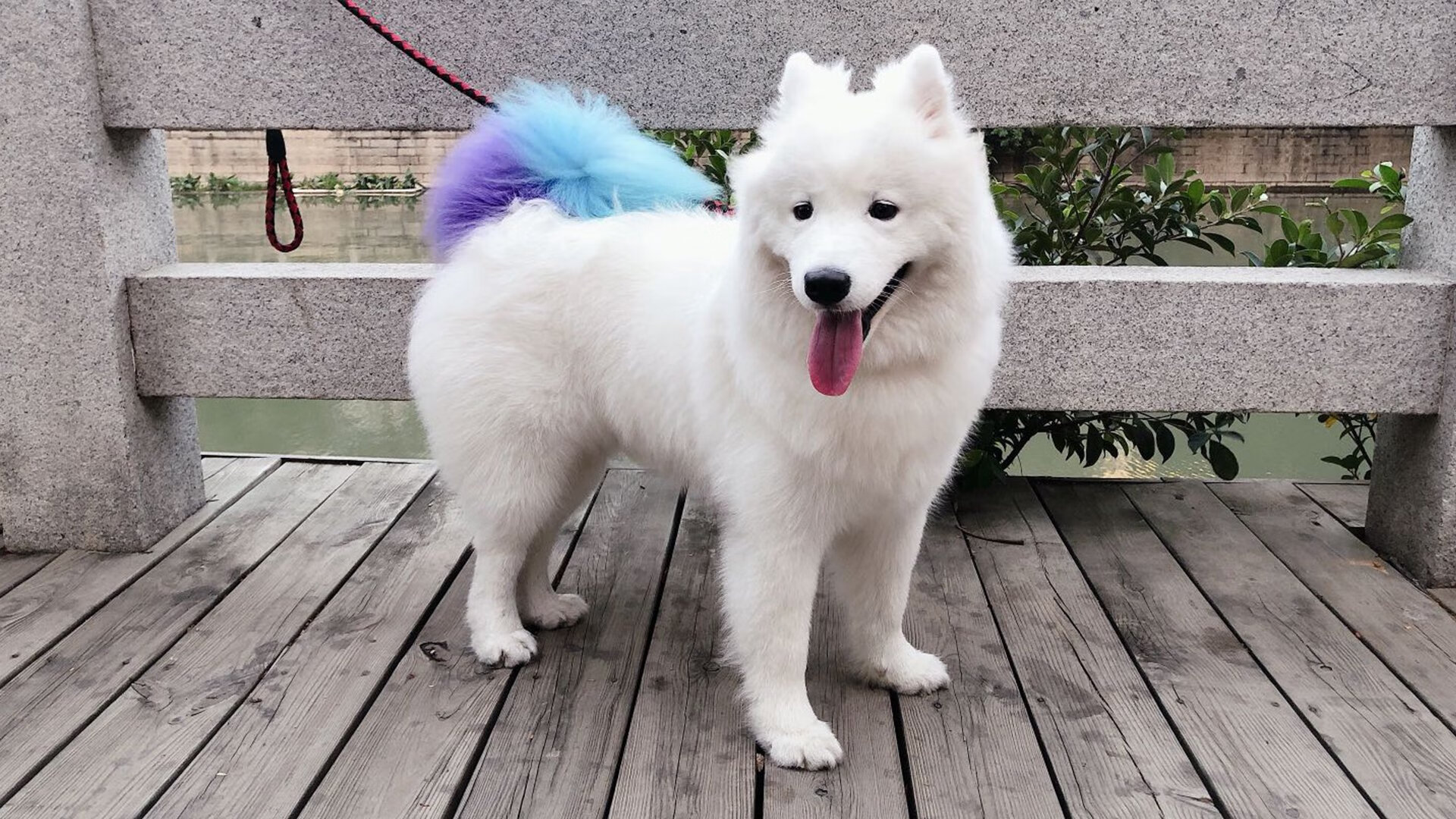 开云体育登录-霜刃刹那，金玟哉统治攻防，奥地利奏响绝杀终响