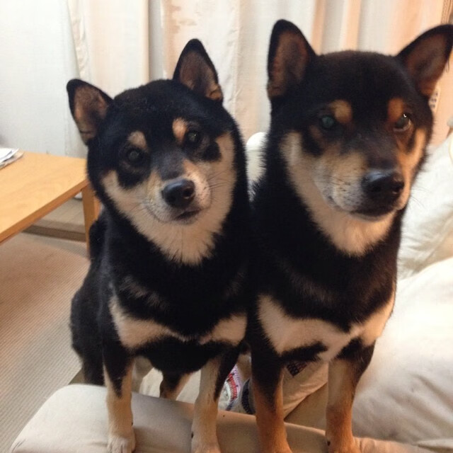 开云体育APP下载-黑马觉醒，奥运周期关键战，丹麦逆袭击碎亚特兰大奥运梦