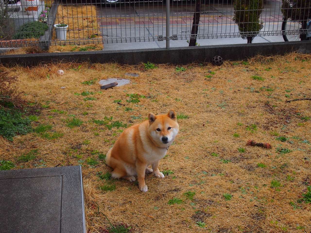 开云体育2026-掌控者的游戏，金玟哉如何将马赛的防线锻造成绝杀塞内加尔的利刃？