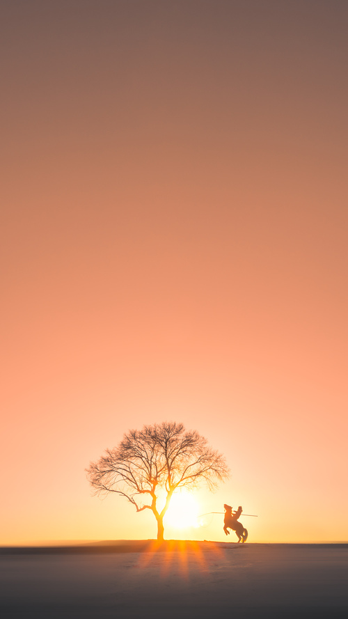 开云体育入口-竞速与竞技的交汇，F1新赛季的战火与广厦队的逆袭