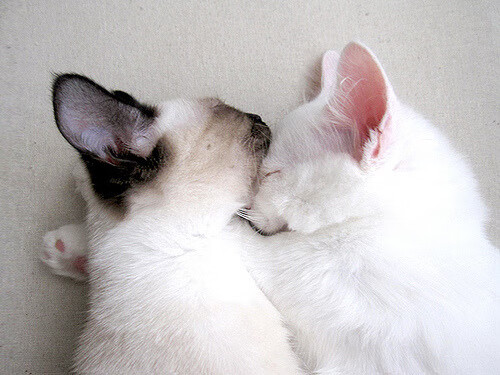 神的注解，阿圭罗用一场比赛写就唯一性教科书