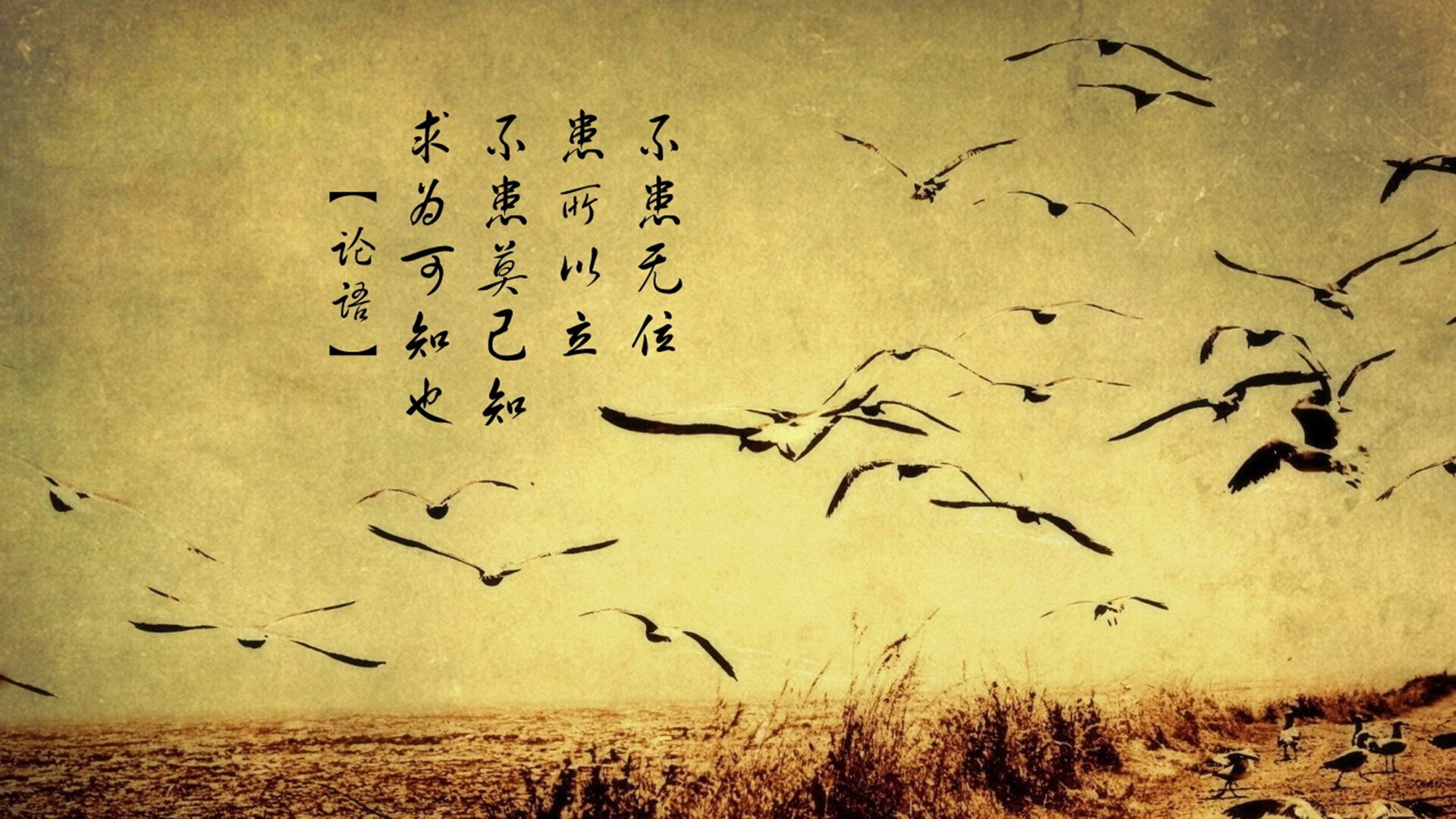 非洲内战的异乡主角，哈基米如何用一场完美演出，撕裂了加纳与厄瓜多尔的命运对决